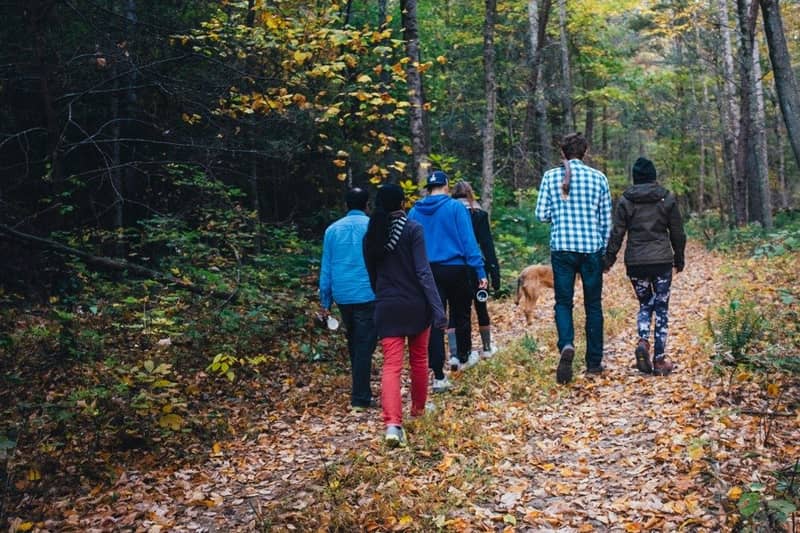 Žygiai Rasose — Pažintinis žygis Pavilnyje
